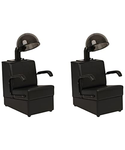 Buy-Rite Salon & Spa Kate Set of 2 Professional Hair Dryer and Chair Combos