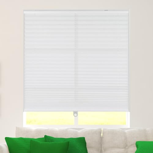 Calyx Interiors Cordless Light Filtering Fabric Window Shade