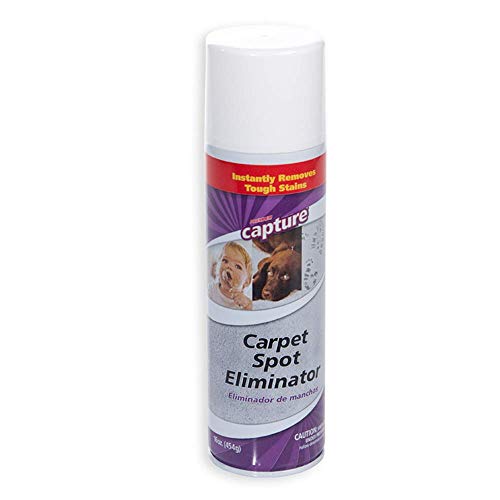 Capture Carpet Spot Eliminator