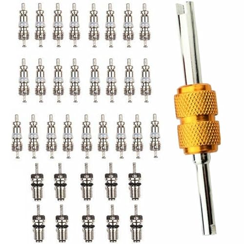 Car Air Conditioning Valve Core Kit with Dual Valve Remover Tool