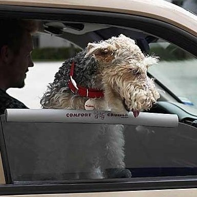 Car Dog Window Bumper for Pet Safety and Comfort