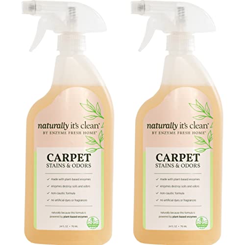 Carpet Stains & Odors Cleaner with Natural Enzymes | 24oz Spray Bottle x 2 Pack