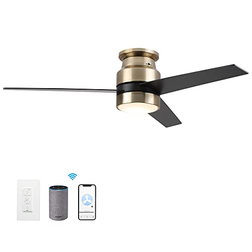 Carro Low Profile Ceiling Fan with Light