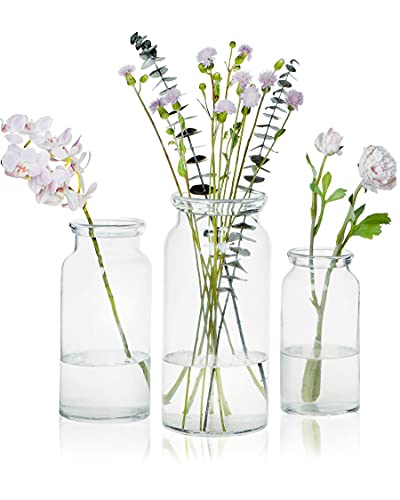 CASAMOTION Glass Vase Set of 3