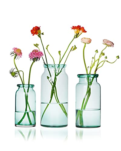 CASAMOTION Green Glass Vases Set of 3