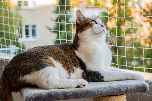 Cat Netting Balcony Pet Mesh Fence