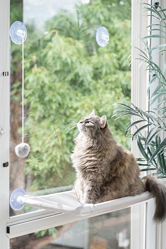 Cat Window Perch Hammock with Suction Cups