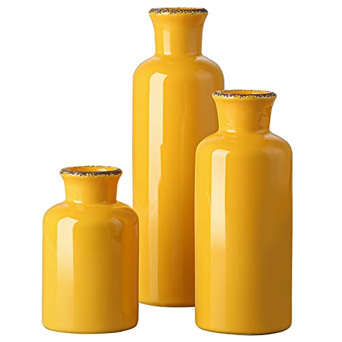 Ceramic Vase Set Review