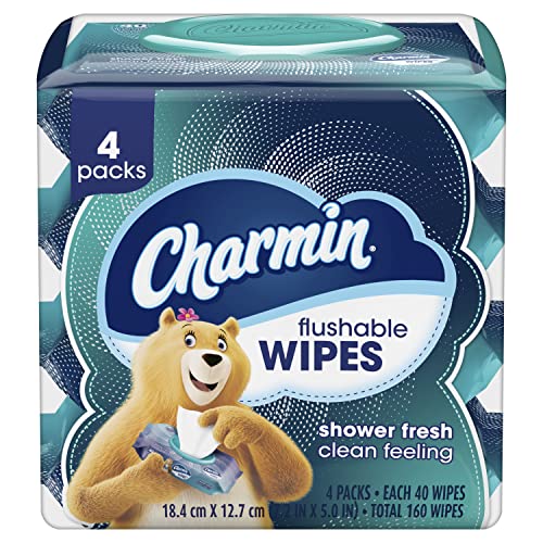 Charmin Flushable Wipes - 4 Packs, 160 Total Wipes
