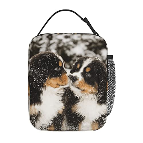 Chayber Bernese Mountain Dog Lunch box