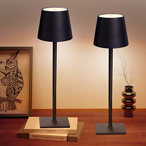 CHLORANTHUS Cordless Table Lamps with Stepless Dimming and Rechargeable Battery
