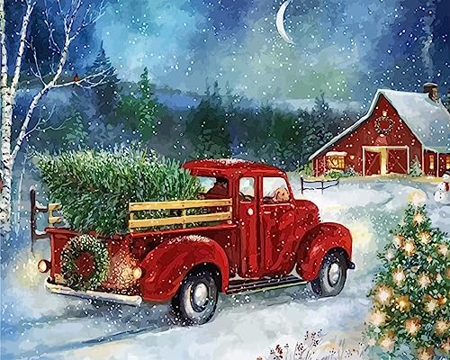 Christmas Paint by Numbers for Adults