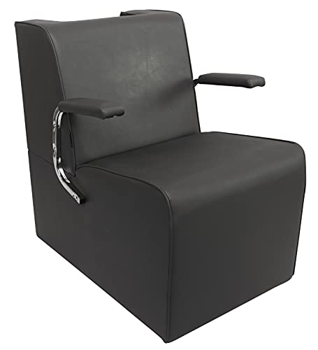 Chromium Professional Platform Dryer Chair