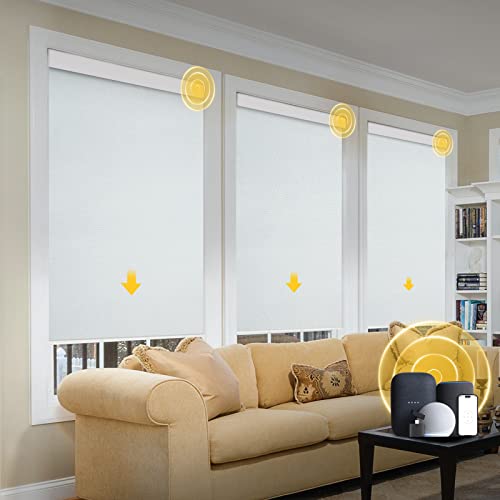 CITOLEN Motorized Blinds with Valance Cover