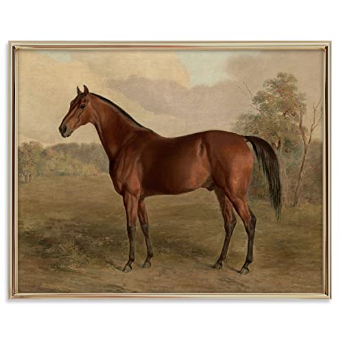 Classic Stallion Horse Art Print for Home Decor