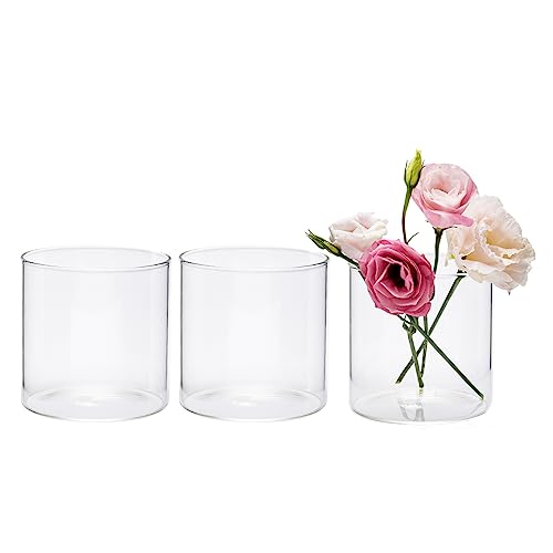 Clear Glass Cylinder Vases, Pack of 3 Centerpiece Flower Vase
