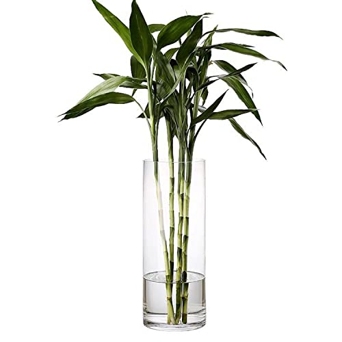 Clear Glass Vase for Flowers