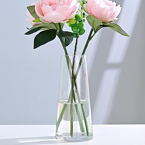 Clear Glass Vases for Flowers Decor