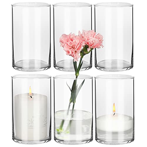 Clear Glass Vases - Set of 6 Pack - Versatile and Elegant