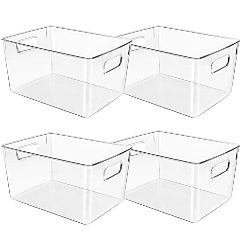 Clear Plastic Storage Bins for Organization