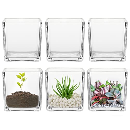 Clear Square Glass Vases