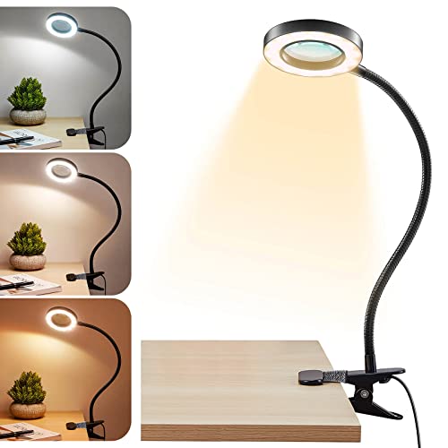Clip-on Magnifying LED Lamp