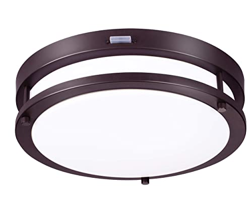 Cloudy Bay Indoor & Outdoor Flush Mount Ceiling Light