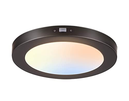 Cloudy Bay LED Flush Mount Ceiling Light