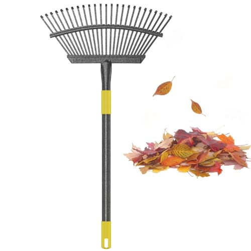 10 Best Power Rakes For Lawns For 2023 | Storables