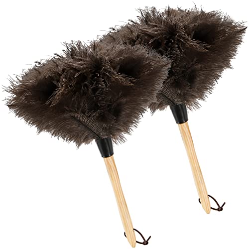 Coloch Ostrich Feather Duster