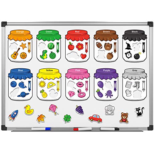 Color Recognition Magnetic Sorting Set
