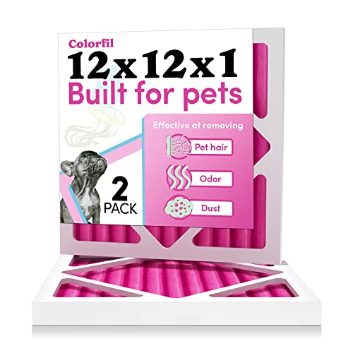 Colorfil 12x12x1 Air Filter for Pet Odors