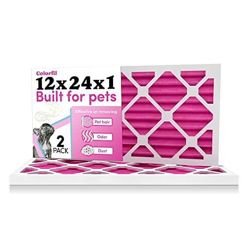 Colorfil 12x24x1 Air Filter: Odor-Eliminating and Pet-Friendly