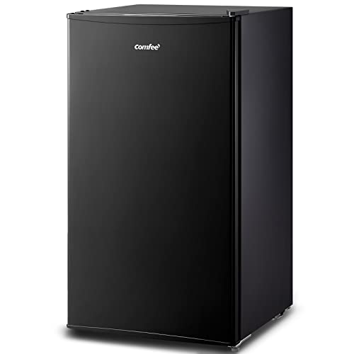 7 Best Mini Refrigerator Without Freezer for 2024
