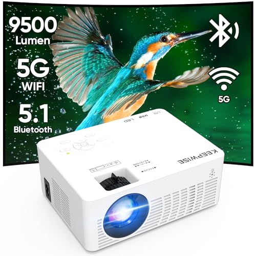 Compact and Affordable Mini Projector