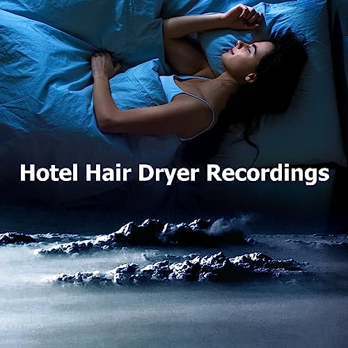 Compact and Powerful Hotel Hair Dryer