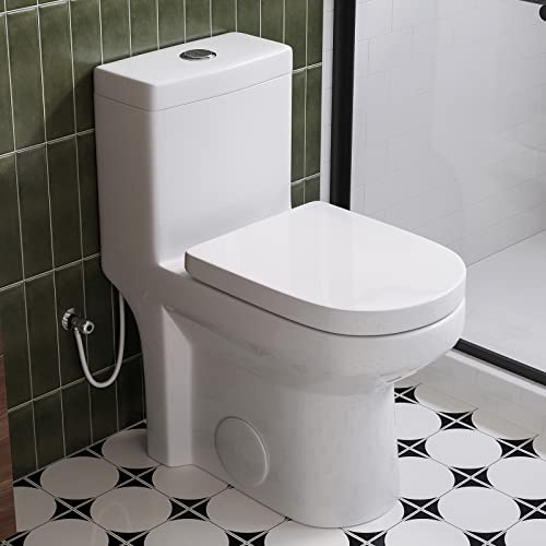 Compact One Piece Toilet with Soft Closing Seat