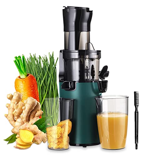 Compact Slow Masticating Juicer with High Juice Yield