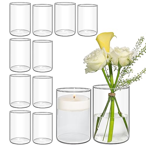 ComSaf Glass Cylinder Vases Set of 12