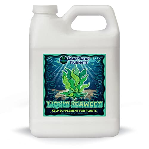 Concentrated Liquid Kelp Supplement | Blue Planet Nutrients