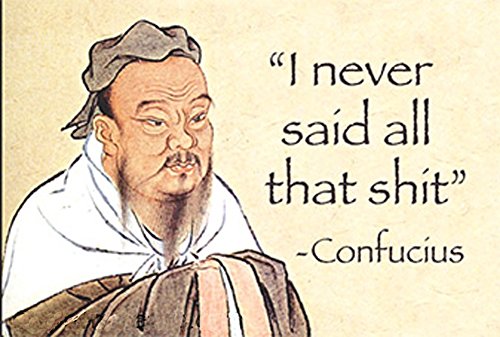 Confucius Funny Fridge Magnet