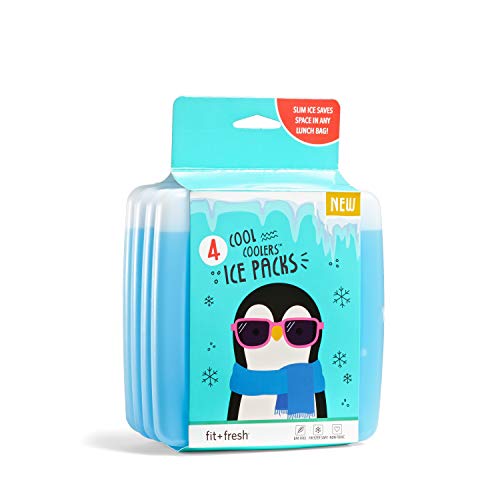 10 Best Thin Ice Packs For Lunch Box for 2023