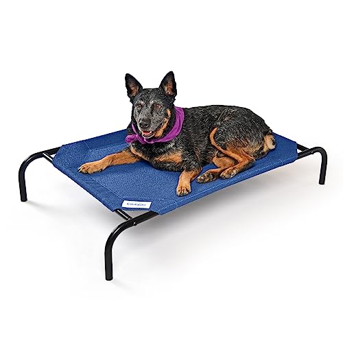 Blue Medium Coolaroo Elevated Dog Bed for Indoor and Outdoor Use