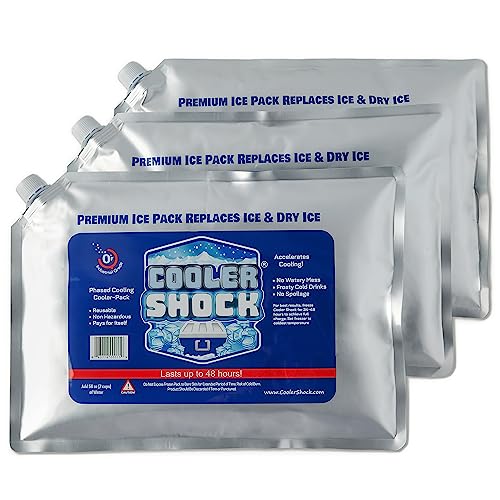 Cooler Shock Ice Packs