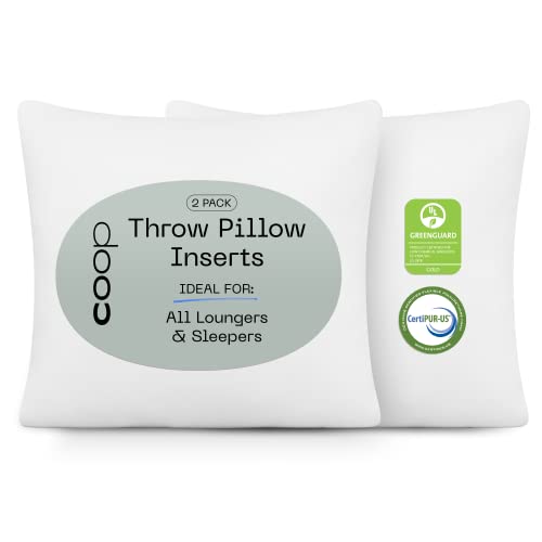 Coop Home Goods Throw Pillow Insert - 18 x 18 Inches