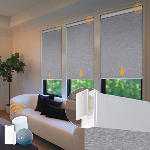 Cordless Roller Shades with Smart Home Integration