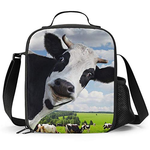 Cow Lunch Box with 3D Design