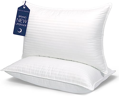 COZSINOOR Queen Size Cooling Bed Pillows