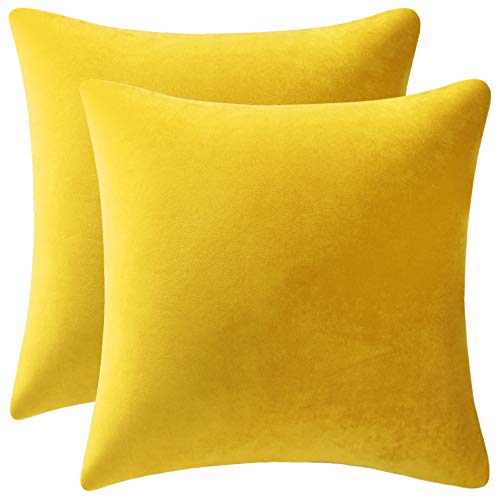 Cozy Soft Velvet Square Throw Pillow Cases