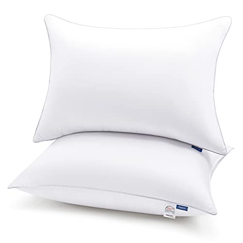 CozyLux Queen Size Bed Pillows Set of 2